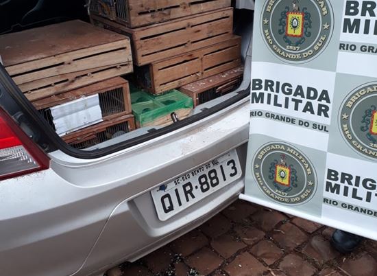 Brigada Militar apreende pássaros silvestres