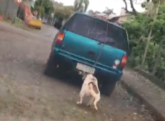 Vídeo flagra momento em que cachorro é arrastado por carro