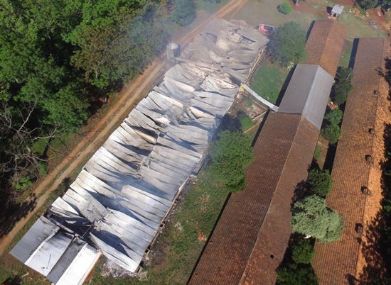 Chiqueiro pega fogo e 1,4 mil porcos morrem em Coronel Bicaco