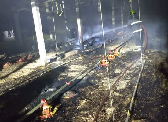 Incêndio danifica aviário e mata cerca de 3 mil aves